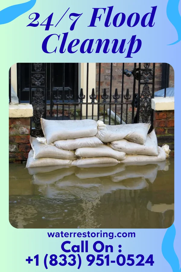 24/7 Flood Cleanup in South Jacksonville, IL