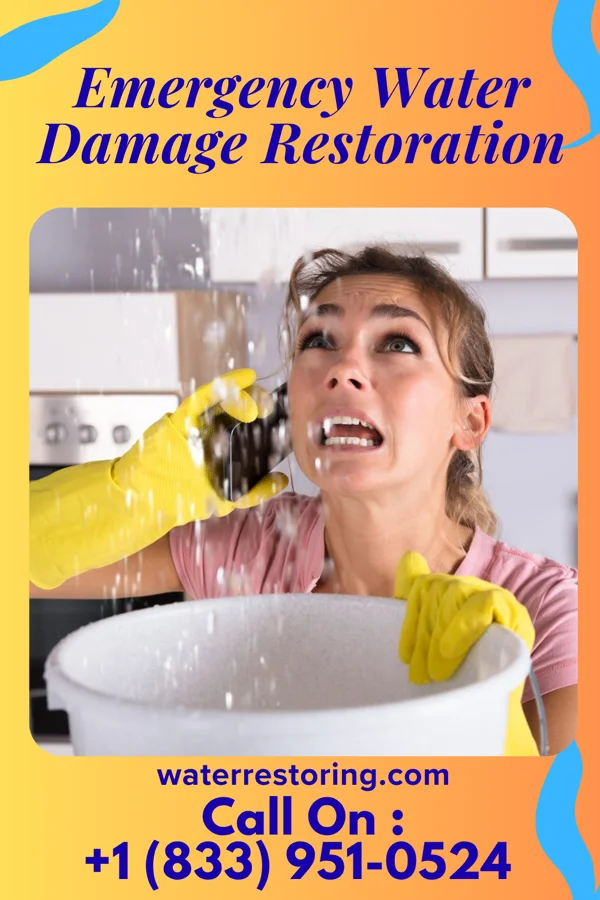 Emergency Water Damage Restoration in South Jacksonville, IL