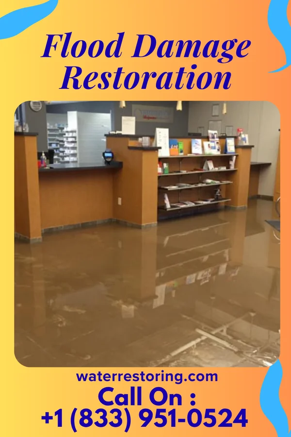 Flood Damage Restoration in South Jacksonville, IL