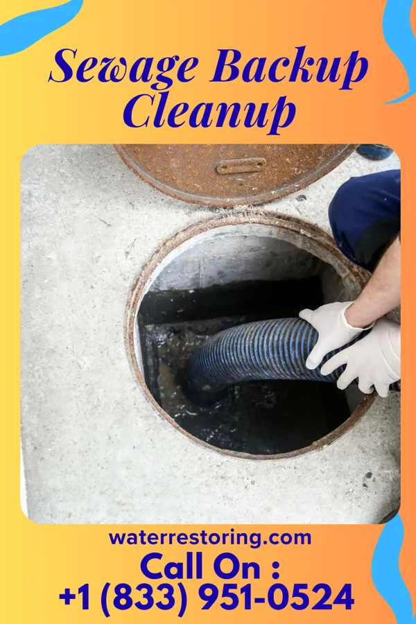 Sewage Backup Cleanup in South Jacksonville, IL