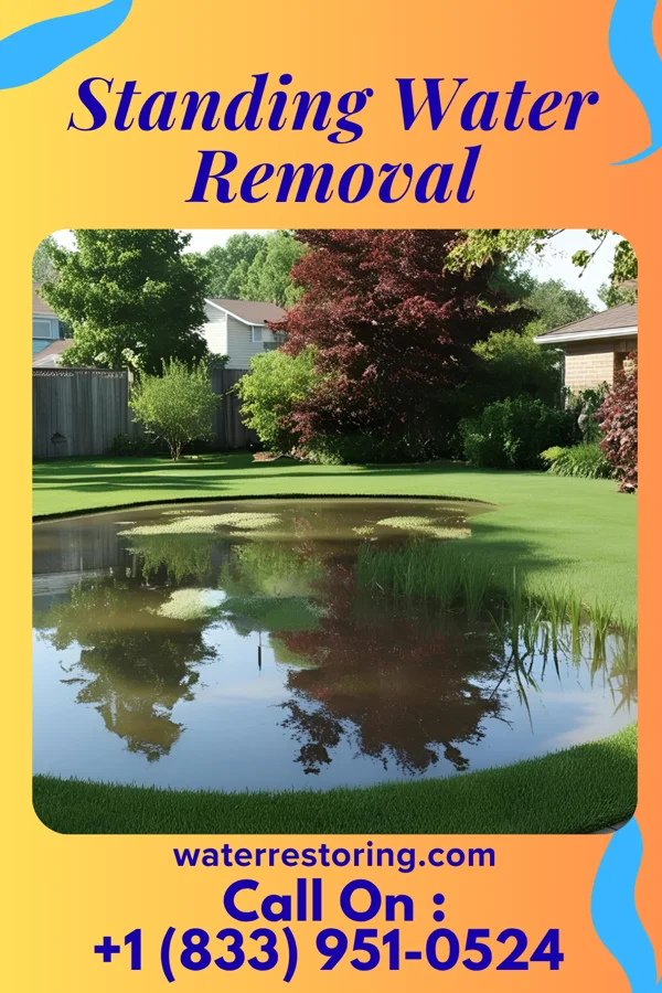 Standing Water Removal in South Jacksonville, IL